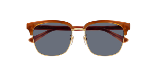 Gucci GG0382S Sunglasses