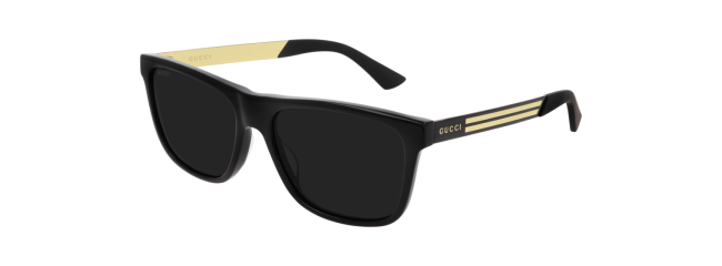 Gucci GG0687S Sunglasses