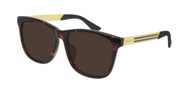 Gucci GG0695SA Sunglasses