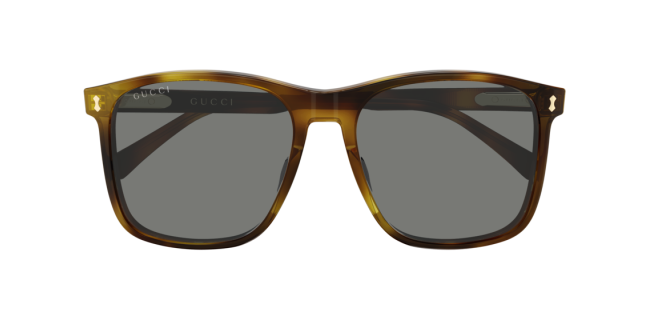 Gucci GG1041S Sunglasses