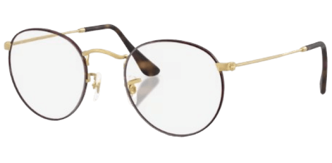 Ray Ban 0RX3447V