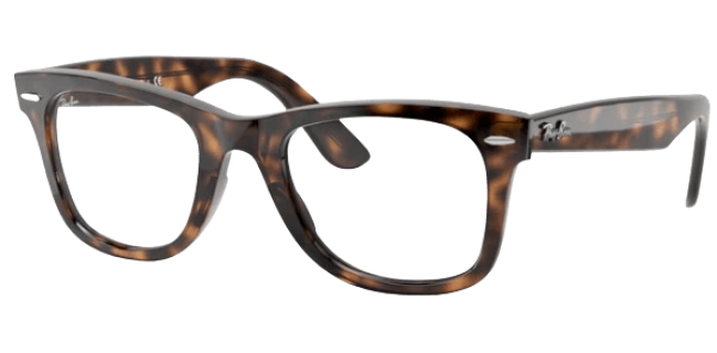 Ray Ban 0RX4340V
