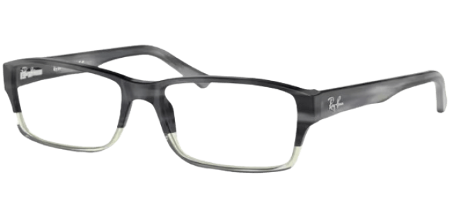 Ray Ban 0RX5169