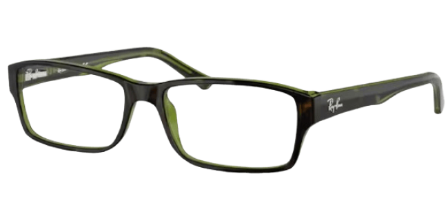 Ray Ban 0RX5169