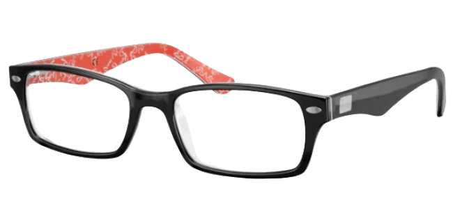 Ray Ban 0RX5206