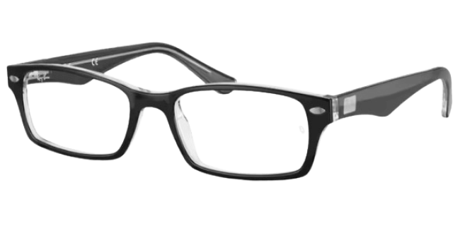 Ray Ban 0RX5206