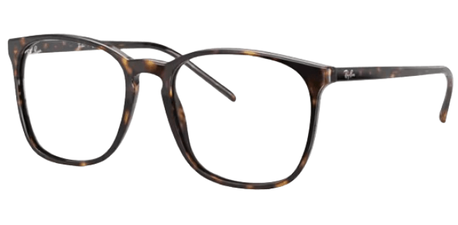 Ray Ban 0RX5387