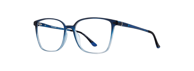 Vivid 2036 Eyeglasses 