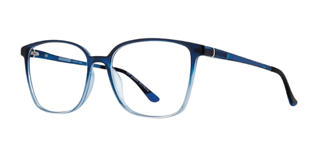 Vivid 2036 Eyeglasses 
