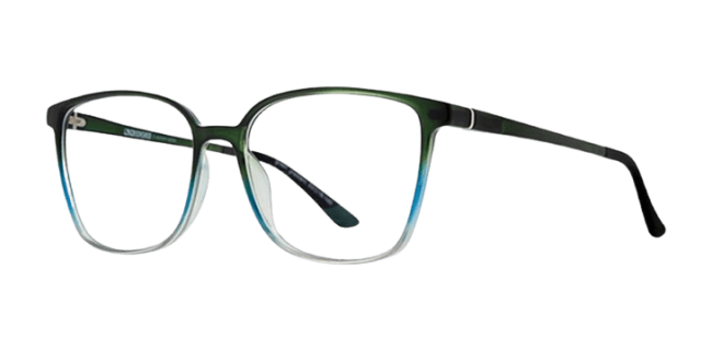Vivid 2036 Eyeglasses 