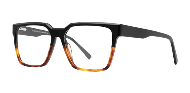 Vivid 972 Eyeglasses 
