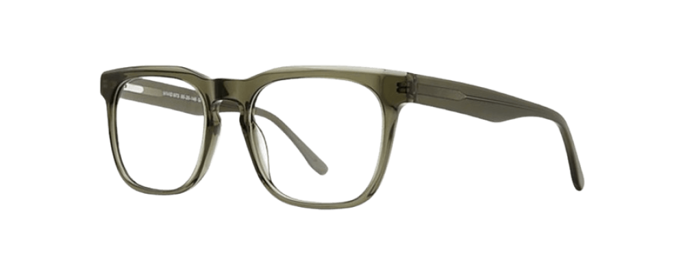 Vivid 973 Eyeglasses 