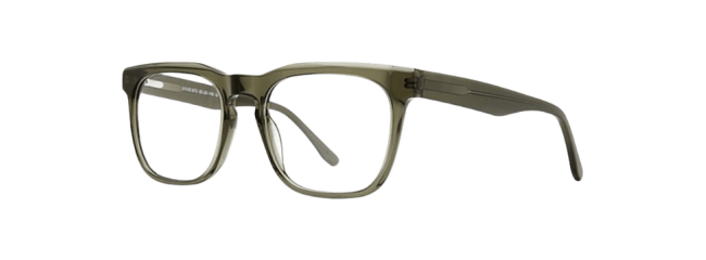 Vivid 973 Eyeglasses 