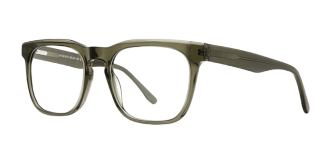 Vivid 973 Eyeglasses 