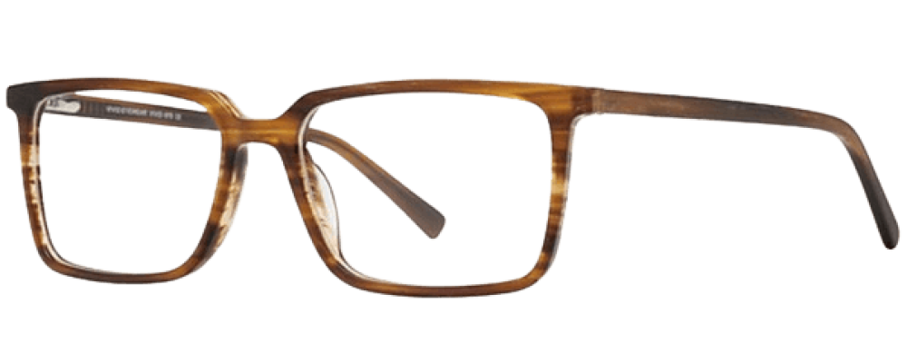 Vivid 976 Eyeglasses 
