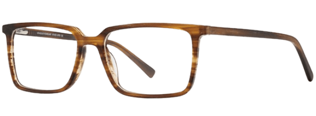 Vivid 976 Eyeglasses 