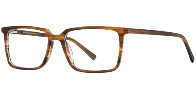 Vivid 976 Eyeglasses 