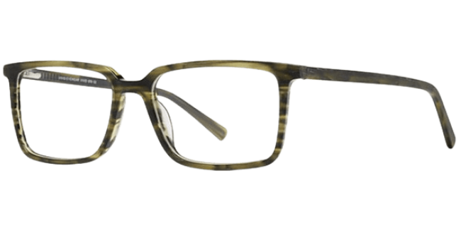 Vivid 976 Eyeglasses 