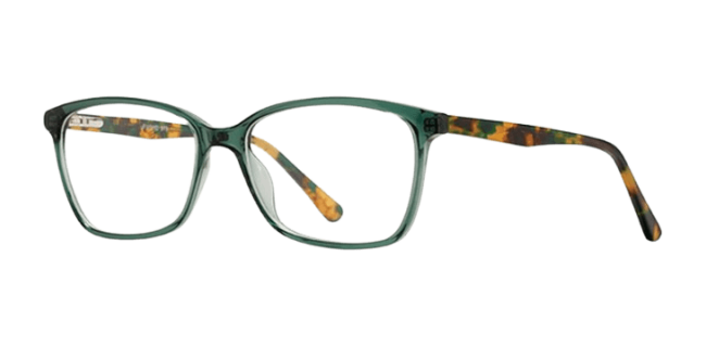 Vivid 979 Eyeglasses 