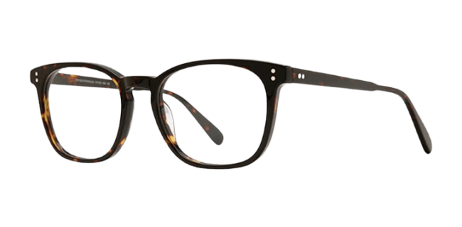 Vivid 990 Eyeglasses 