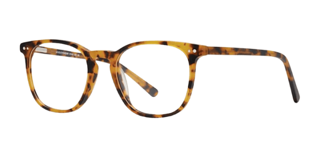 Vivid 991 Eyeglasses 