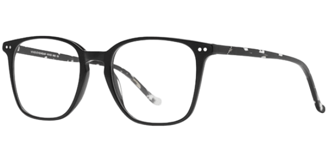 Vivid 992 Eyeglasses 