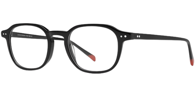 Vivid 996 Eyeglasses 