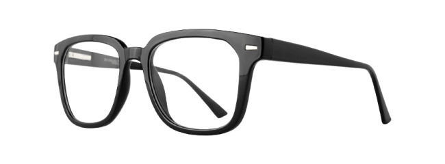 Affordable Aldo Eyeglasses