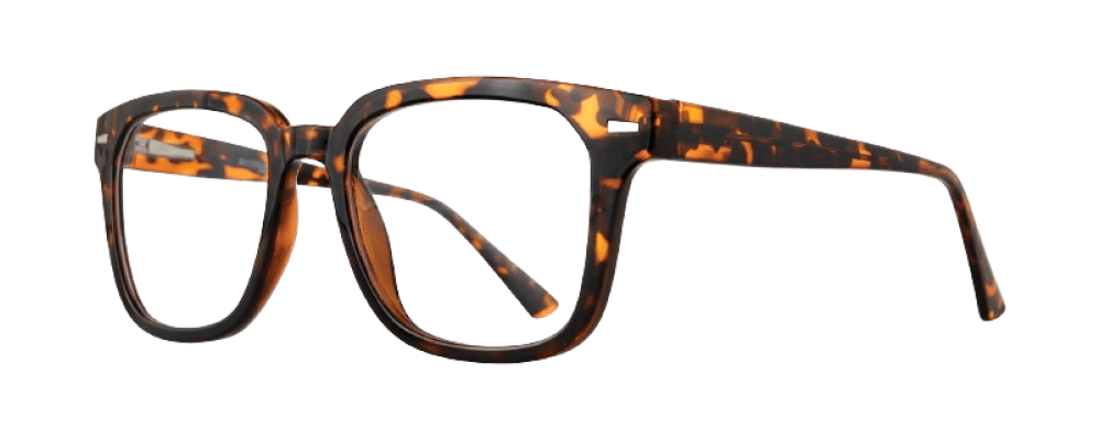 Affordable Designs Aldo Eyeglasses