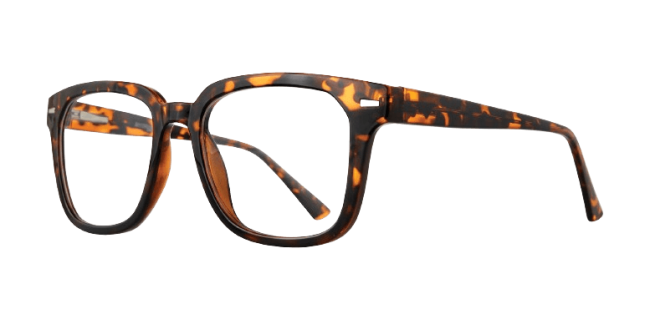 Affordable Designs Aldo Eyeglasses
