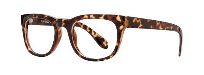 Affordable Designs Folsom Eyeglasses