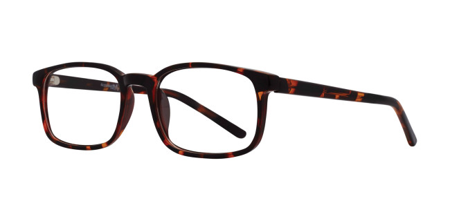 Affordable Hayden Eyeglasses
