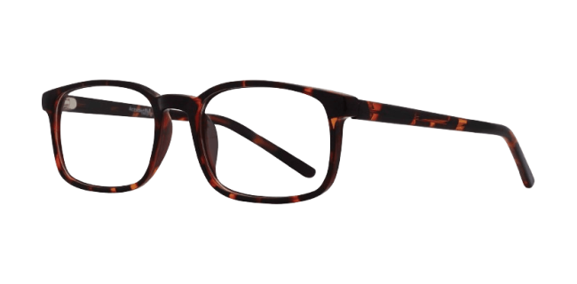 Affordable Designs Hayden Eyeglasses
