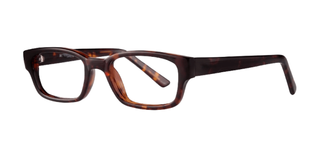 Affordable Designs Josh Eyeglasses