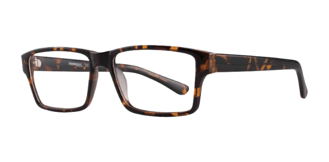 Affordable Designs Leo Eyeglasses