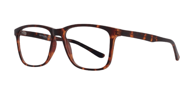 Affordable Monty Eyeglasses