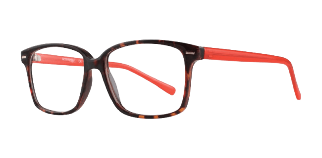 Affordable Nora Eyeglasses
