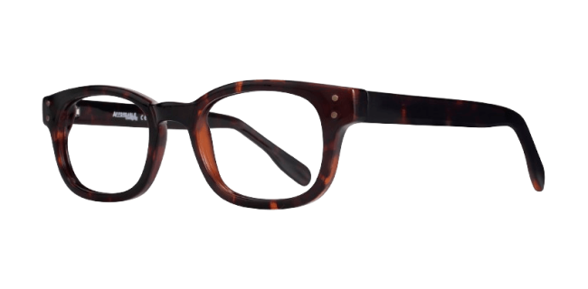 Affordable Owen Eyeglasses