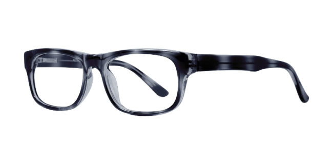 Affordable Professor Eyeglasses
