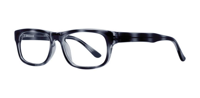 Affordable Professor Eyeglasses