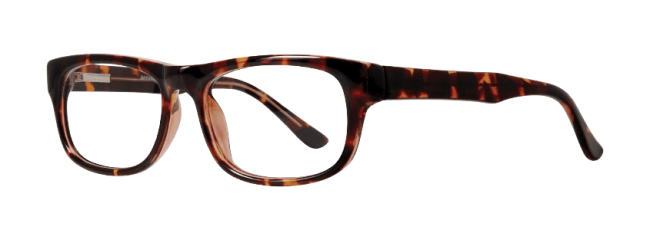 Affordable Designs Professor Eyeglasses