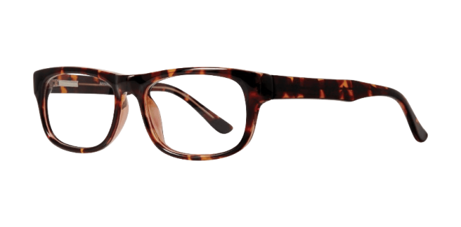 Affordable Professor Eyeglasses