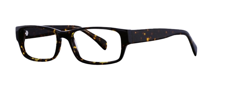 Affordable Reagan Eyeglasses
