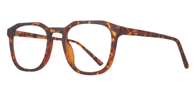 Affordable Reign Eyeglasses