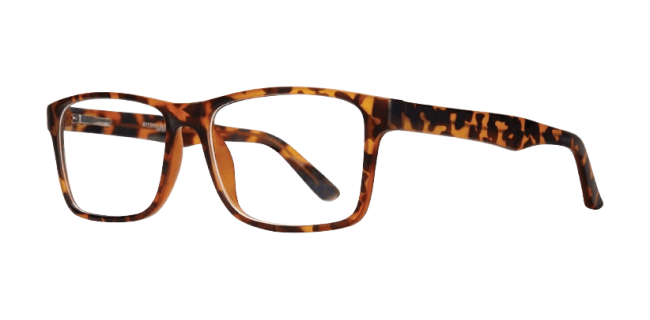 Affordable Rodney Eyeglasses