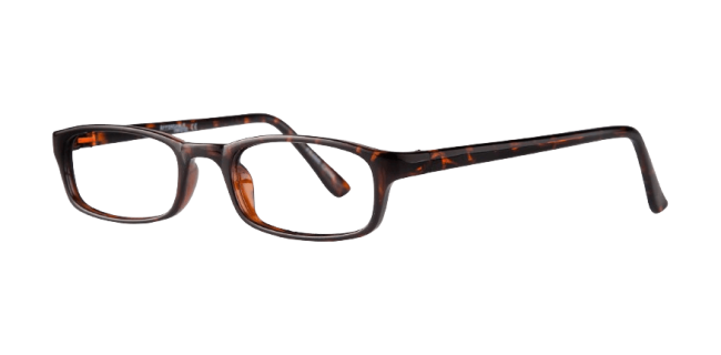 Affordable Sidney Eyeglasses