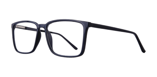 Affordable Wade Eyeglasses