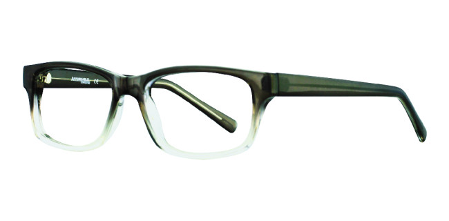 Affordable Paul Eyeglasses