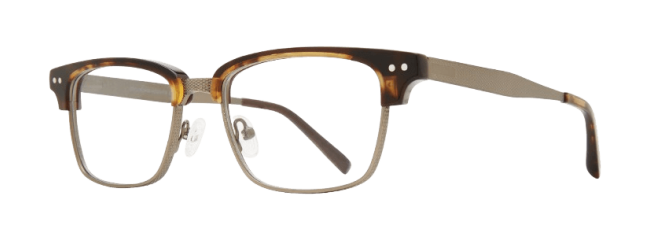 Brooklyn Heights Brad