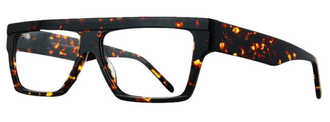 Brooklyn Heights Raj